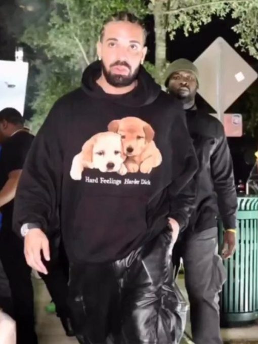 Drake Hard Feelings Harder Dick Hoodie