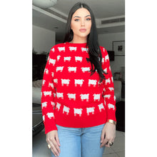 Princess Diana Black Sheep Red Sweater