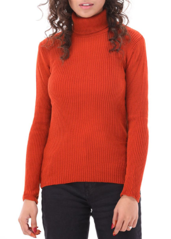 Women Burgundy High Neck Sweater